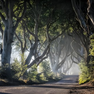 Titanic Experience and Giant's Causeway tour from Belfast 5