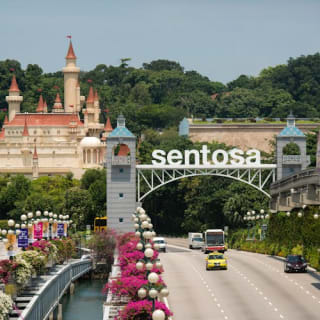Sentosa Express: Zugticket 4