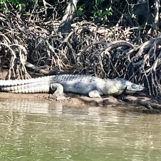 River Cruise 11