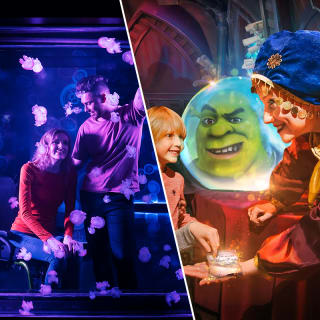 SEA LIFE + Shrek’s Adventure! London 2