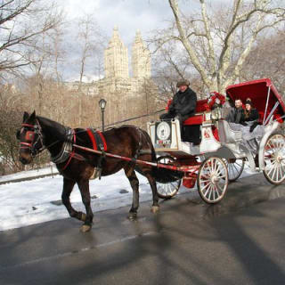 Offizielle Pferdekutschenfahrten in Central Park seit 1979 ™ 32