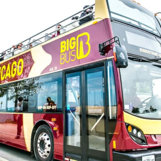 Excursión nocturna en autobús por Chicago 6