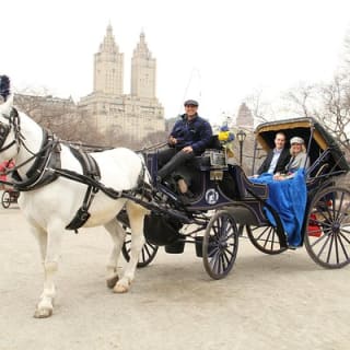 Offizielle Pferdekutschenfahrten in Central Park seit 1979 ™ 34