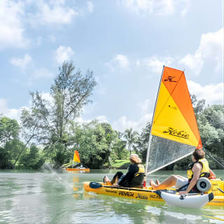 Kayak Sailing en Singapur, Manglar, Kelong y Pulau Ubin, comida con marisco incluida 6