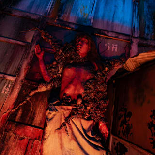 Pure Terror Scream Park (Monroe, NY) 5