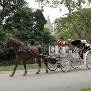 Offizielle Pferdekutschenfahrten in Central Park seit 1979 ™ 36