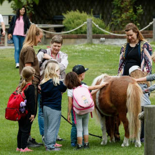 Copenhagen ZOO : billet coupe-file 10