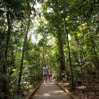 Daintree and Cape Tribulation Full-Day Tour 5