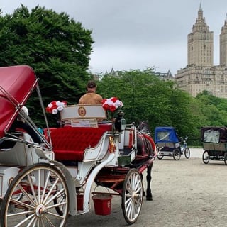 Offizielle Pferdekutschenfahrten in Central Park seit 1979 ™ 37