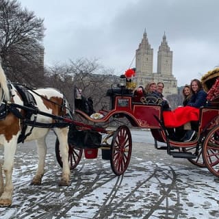 Offizielle Pferdekutschenfahrten in Central Park seit 1979 ™ 38