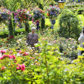 Victoria & Butchart Gardens: gita di un giorno da Vancouver 3