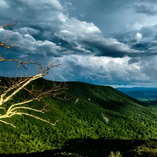 Shenandoah National Park Self-Driving Audio Tour 6