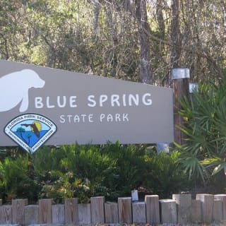 St. Johns River Nature Cruise at Blue Spring State Park 5