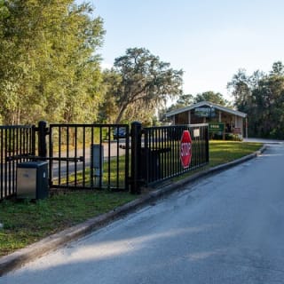 St. Johns River Nature Cruise at Blue Spring State Park 6