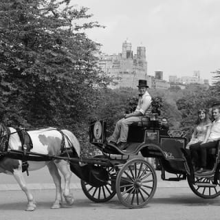 Offizielle Pferdekutschenfahrten in Central Park seit 1979 ™ 40