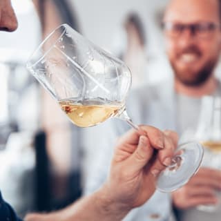 Tastings with wineries in Vinopremier 3