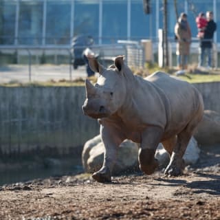 Copenhagen ZOO : billet coupe-file 13