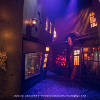 Harry Potter: Visions de la magie 6