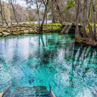 St. Johns River Nature Cruise at Blue Spring State Park 10