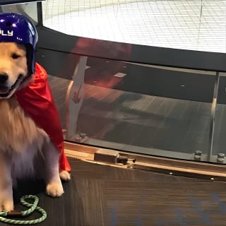 Paramus Indoor Skydiving Experience with 2 Flights & Personalized Certificate 8