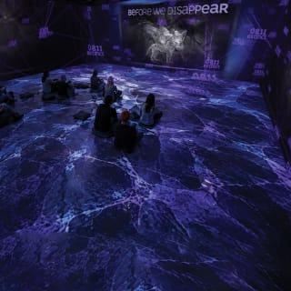 ‘Before We Disappear’, Digital Documentary Exhibition by Poliform 4