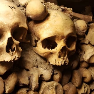 Paris Catacombs Entrance Ticket with Seine River Cruise Option 2