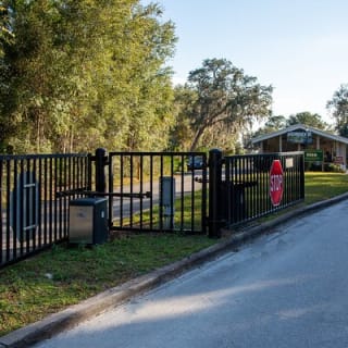 St. Johns River Nature Cruise at Blue Spring State Park 12