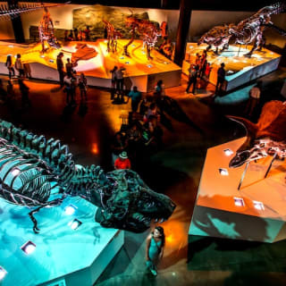 Elección del niño de Houston: Pase al Museo 1