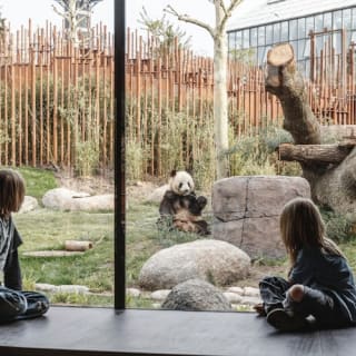 Copenhagen ZOO : billet coupe-file 15