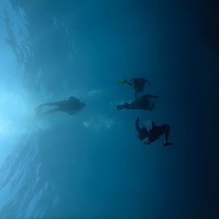 Bajo un mar de aventuras, inmersiones inolvidables. 33