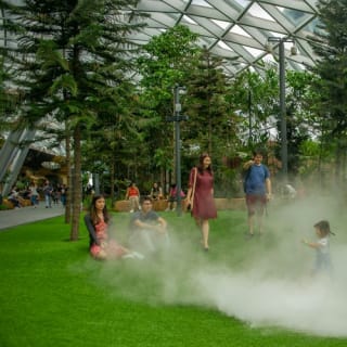 Jewel Changi Airport: Entry Ticket 4