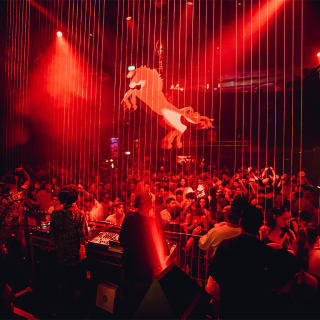 S.A.S.H 13th Birthday Easter Long Weekend Party 3