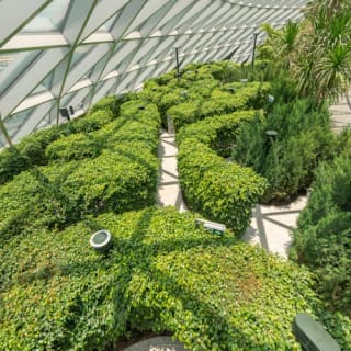Jewel Changi Airport: Entry Ticket 6