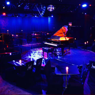 The Freedom Party @ Le Poisson Rouge 5