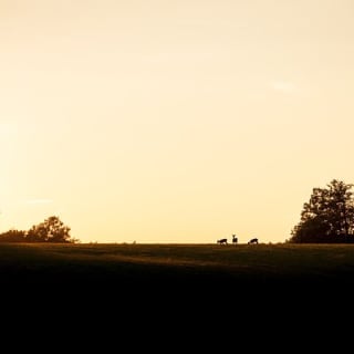Evening Wildlife Safari Stockholm 4