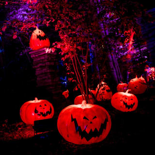 Disney Tim Burton’s The Nightmare Before Christmas Light Trail 4