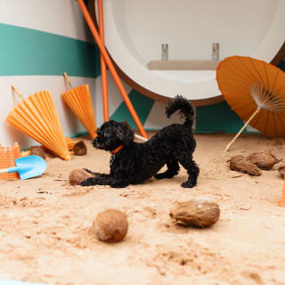 Malibu Let The Funshine Pop-Up 3