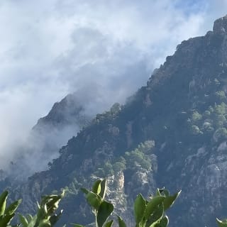 Soller Valley Walk with Orange Farm Visit 36