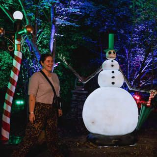 Disney Tim Burton’s The Nightmare Before Christmas Light Trail - Gift Card 2