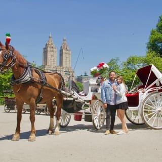 Offizielle Pferdekutschenfahrten in Central Park seit 1979 ™ 51