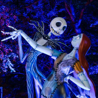 Disney Tim Burton’s The Nightmare Before Christmas Light Trail - Gift Card 4