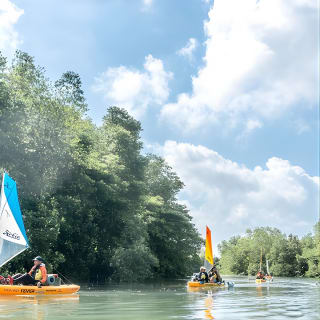 Kayak Sailing en Singapur, Manglar, Kelong y Pulau Ubin, comida con marisco incluida 7