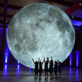 Elección del niño de Houston: Pase al Museo 7