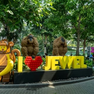 Jewel Changi Airport: Entry Ticket 11