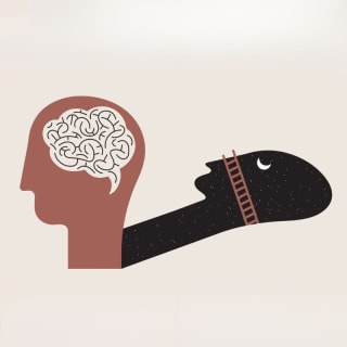 La Science des rêves 1