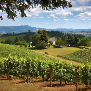 Willamette Valley Wine Tasting Tour from Portland 1