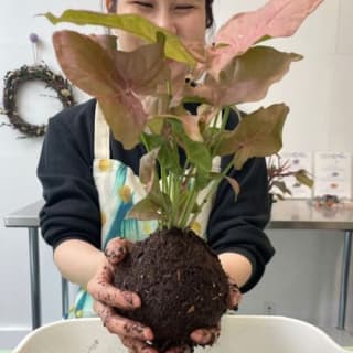 Kokedama Class 3