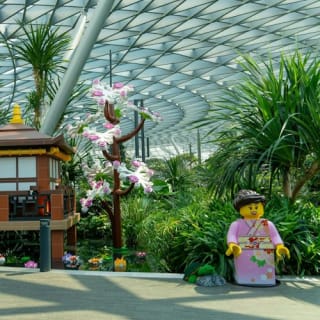 Jewel Changi Airport: Entry Ticket 12