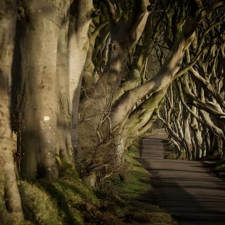 Titanic Experience and Giant's Causeway tour from Belfast 6
