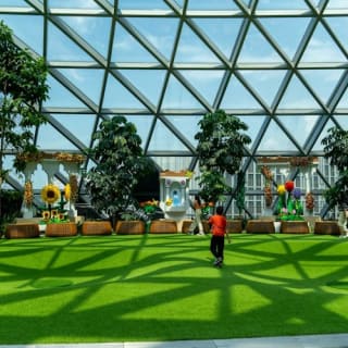 Jewel Changi Airport: Entry Ticket 13